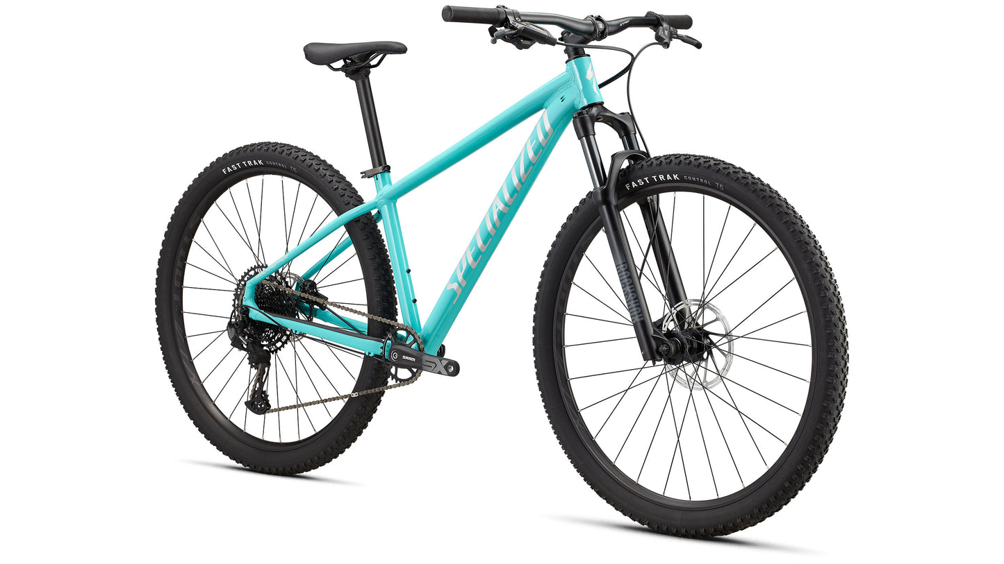 Rockhopper Expert 29