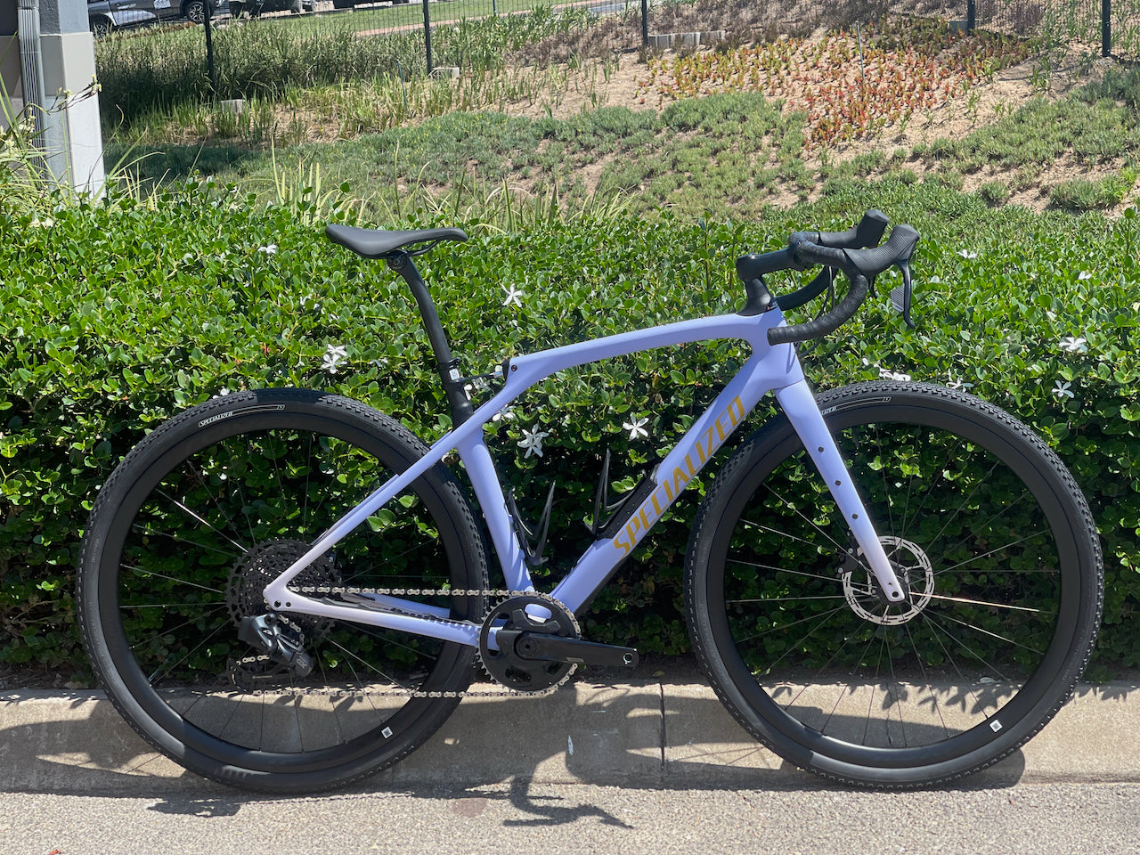 Diverge STR Expert
