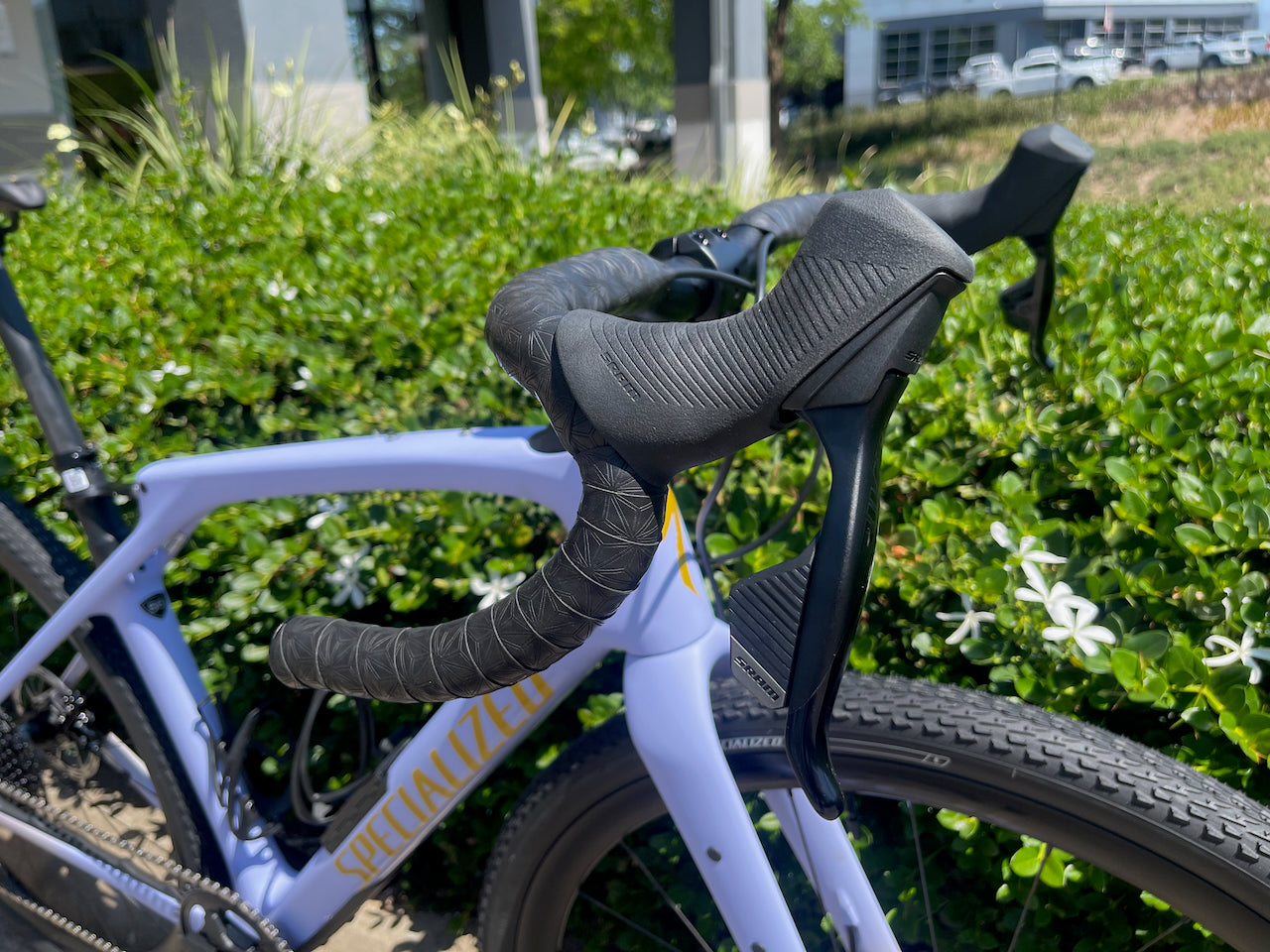 Diverge STR Expert