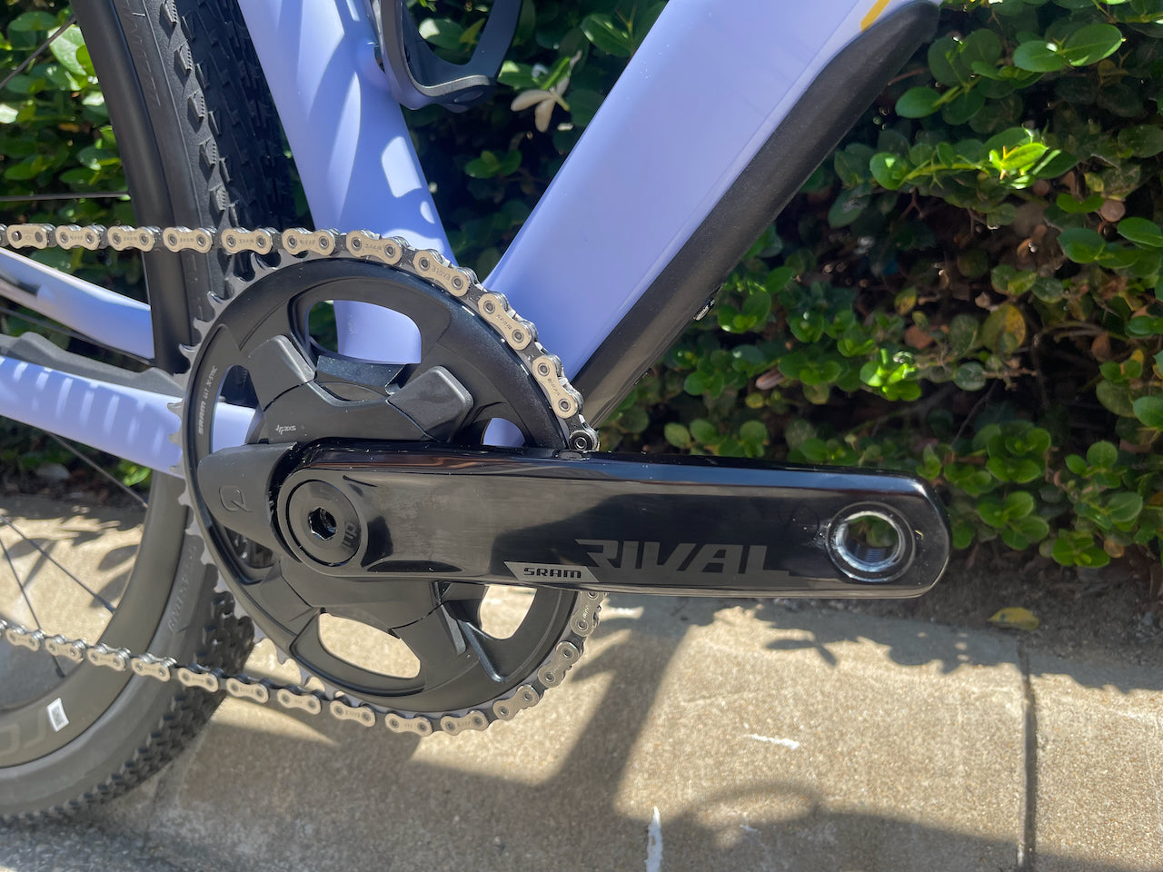Diverge STR Expert