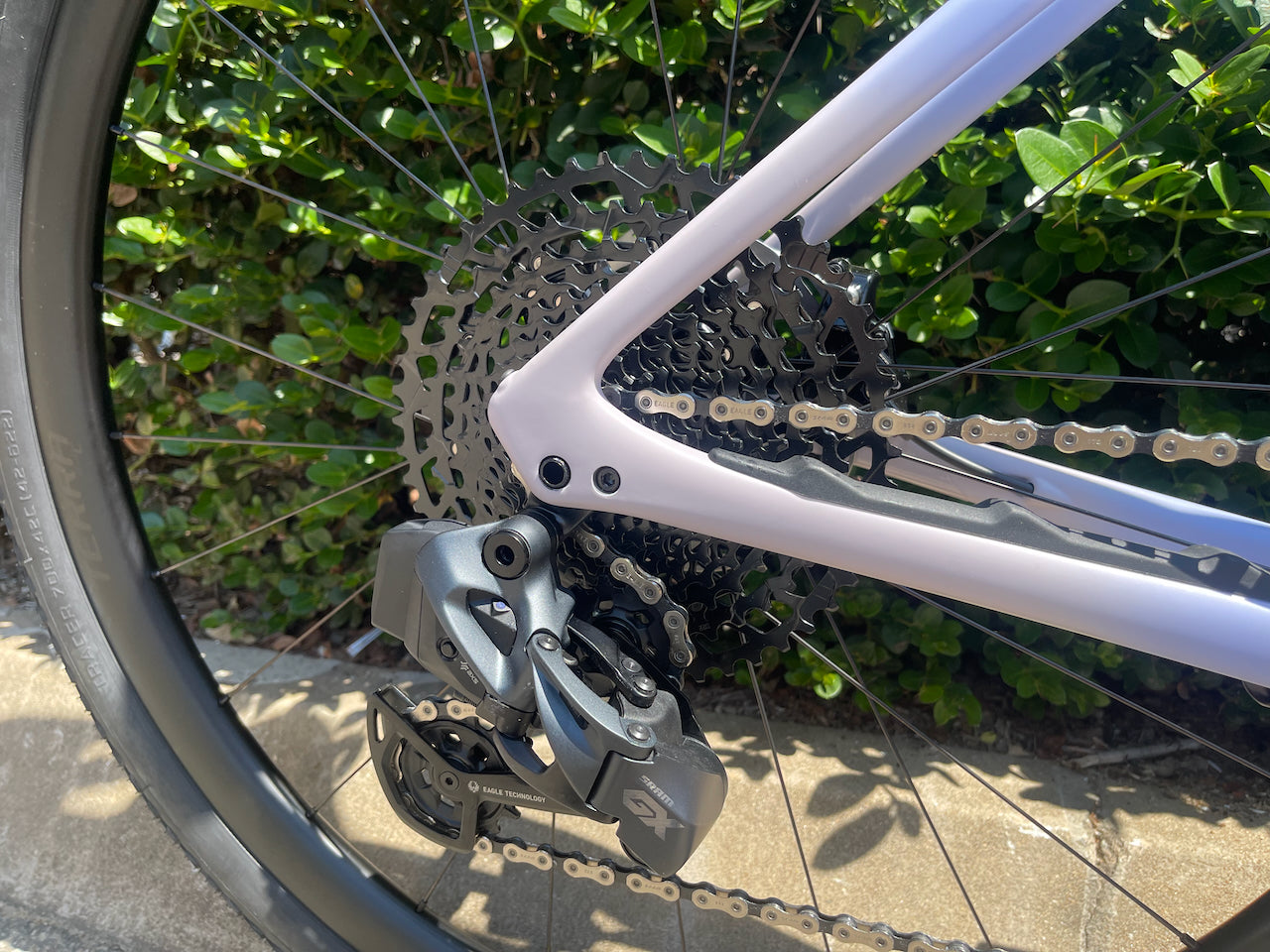 Diverge STR Expert