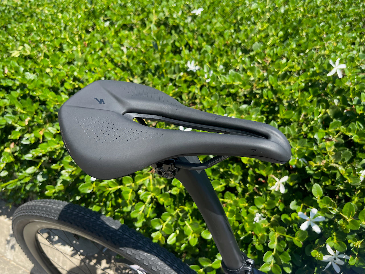 Diverge STR Expert