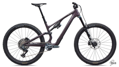 Stumpjumper 15 EVO Expert