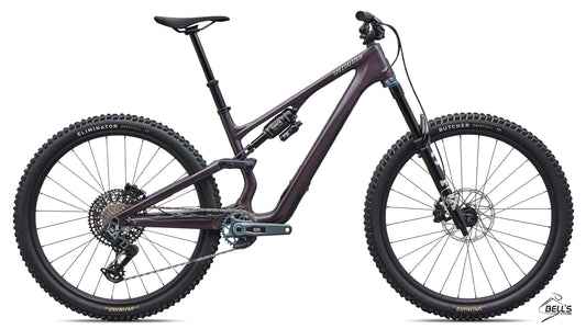 Stumpjumper 15 EVO Expert