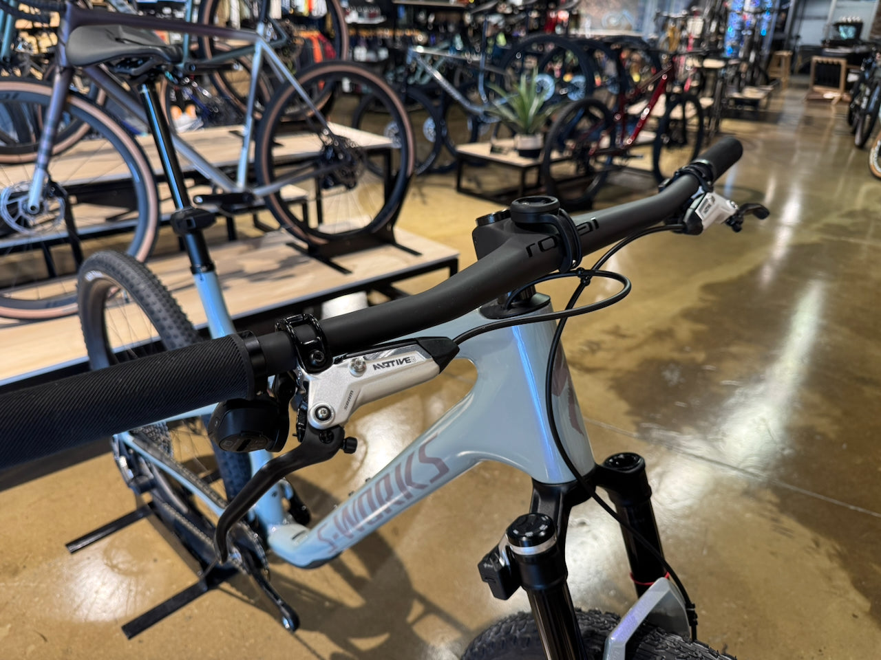 S-Works Epic 9 Custom Build XL