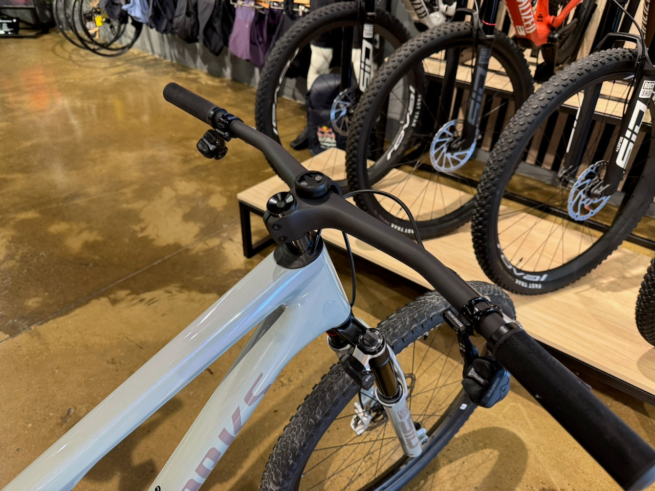 S-Works Epic 9 Custom Build XL