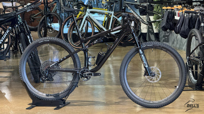 S-Works Epic EVO XO1 T-Type Build